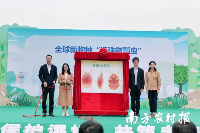 全球新物种“海珠微瓢虫”发布仪式。