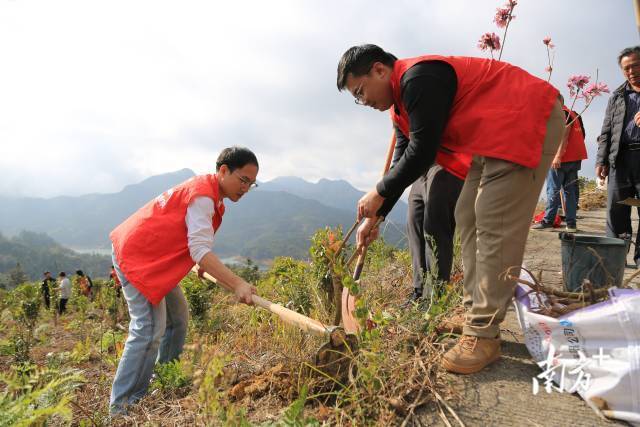    南方+ 纪金娜 拍摄