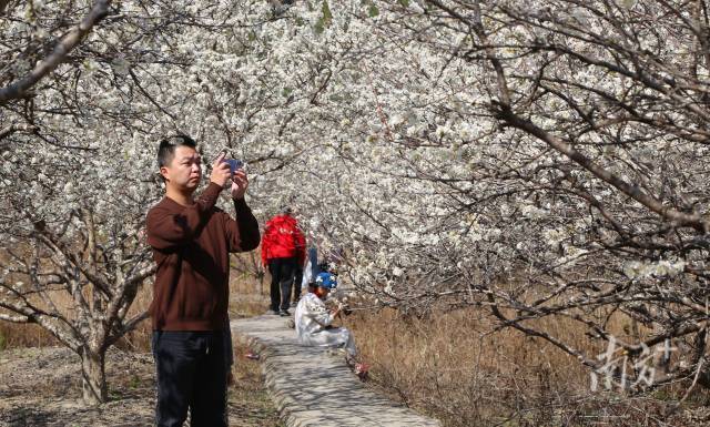    南方+ 林捷勇 拍摄