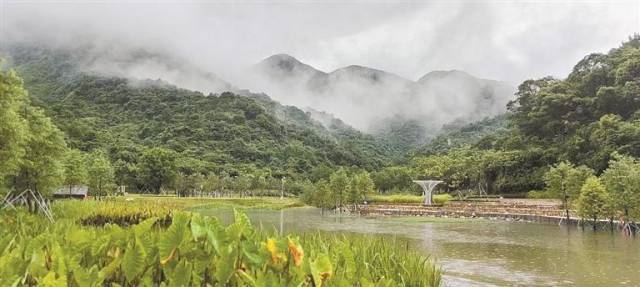 坪山区田头山自然保护区头陂水库示范点山水林湖交相辉映。（图源：项目建设单位）