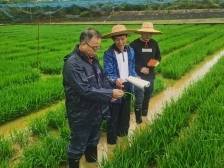 全国政协委员黄显良：以新质生产力赋能农业现代化