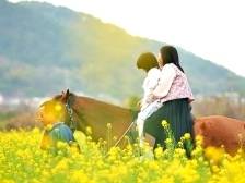 视频+多图丨油菜花开美如画！南口侨乡独一份的“春日浪漫”