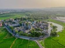 开平塘口：打造民宿产业集群,探索乡村振兴新路径