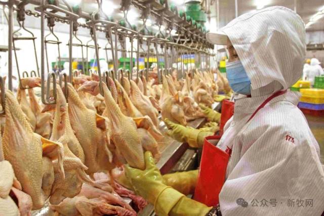 广东温氏佳润食品有限公司是温氏股份旗下专注于肉禽养殖和屠宰加工的三级子公司。温氏佳润目前下辖2家养殖公司，4家鲜品业务公司和7家肉禽屠宰加工厂，是国内规模较大的鲜冻禽类产品屠宰供应企业。