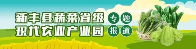 南方农村报 陈静 拍摄