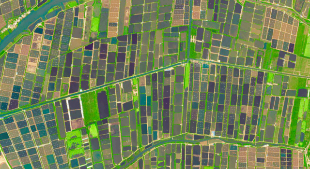 ▲3200米高空下的白蕉海鲈养殖基地