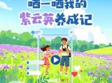 广东紫云英绿肥种植征稿开启，等你来晒!