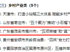 广东唯一！茂名高州荔枝拟入选“千万工程”乡村产业类典型案例