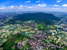 两会热线③｜佛山市人大代表谭翠婵：让接驳车把景点串成链