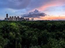 两会热线①｜佛山市人大代表王毅成：规划更多精致度高的口袋公园