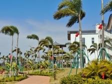 茂名滨海新区：“引擎+”模式释放乡村绿化新动能