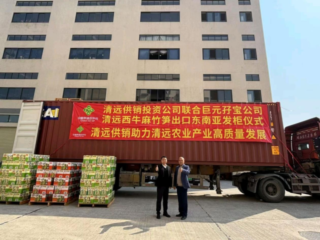 2025年刚开始，清远西牛麻竹笋就已马不停蹄，开启出口热销模式。