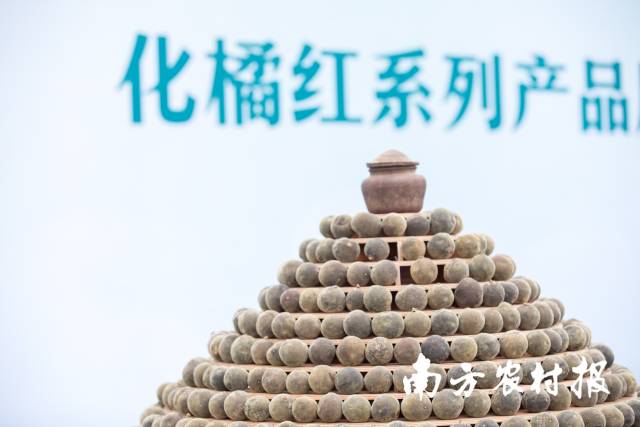 化橘红进入食药物质目录，为化橘红产业开辟了百亿之路。