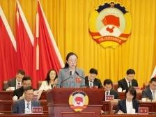 九三学社佛山市委员会：做强国有平台为佛山“融资”｜佛山两会