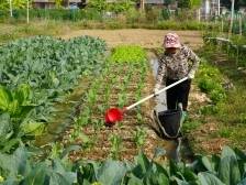 邮储银行肇庆市分行：科创信用贷助力芡实产业发展