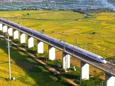 十大关键词告诉你，今年惠州这样发力