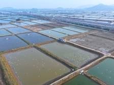 邮储银行肇庆市分行：政银企精准对接，赋能水产养殖业再攀高峰