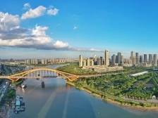 佛山市委书记、市长与五区微信群聊公开，今年干大事！