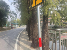 代表说｜吕营：在珠海增设繁体字交通指引牌