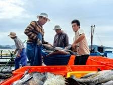 纵深推进“百千万工程”，潮州有何新打法？