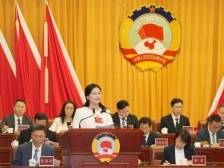 致公党佛山市委员会：推动实现“一镇一业态、一村一策划”｜聚焦两会