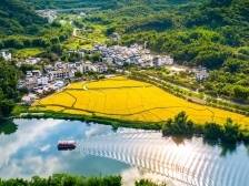 加快建设绿色发展示范区！市长“点名”，广州从化今年这样干