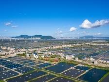 委员说｜孟凡伟：使用光学技术助力珠海水产业发展