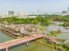 大考之年，广州市政府工作报告释放出什么信号？｜深读两会