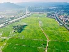 市政府工作报告“划重点”！2025广州“百千万工程”这样干