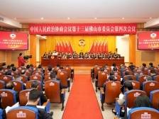 建诤言谋良策出实招，佛山市政协十三届四次会议举行大会发言｜聚焦两会