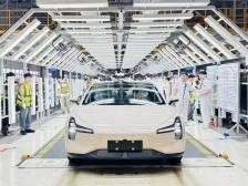 选准主攻方向，在做细行业颗粒度上下功夫｜聚焦肇庆两会