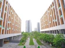 佛山将新增1.5万个基础教育公办学位｜聚焦两会