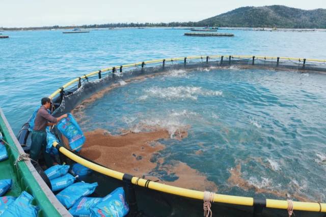 粤海饲料将积极参与现代化海洋牧场建设。