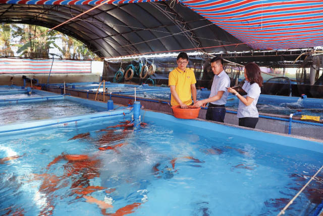 一直以来，粤海饲料的技术团队帮助养殖户解决了不少养殖难题。