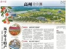 从千年土特产到百亿大产业 | 速览《南方日报·高州视窗》第178期