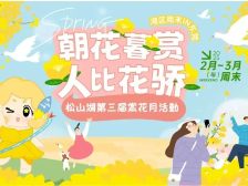 湾区周末IN松湖！探索松山湖商圈自然与繁华的浪漫邂逅