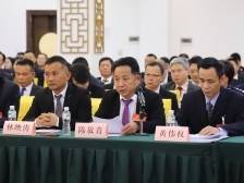 两会听“潮”丨陈放青：从“链长制”到产业集群，潮州优势产业如何升级？