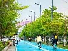 张星伟：完善婚恋家庭纠纷调解机制建设｜广州两会