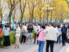 文化季风起，南华气象新！2025广州欢迎您暨南华西文化艺术季开幕