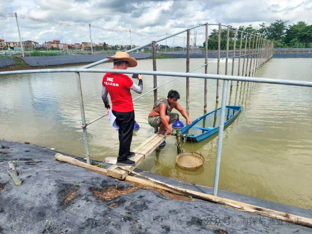 人保财险创新推出青蟹气象指数保险。