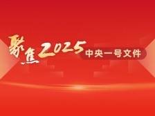2025中央一号文件全文发布