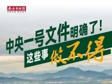 中央一号文件明确：不允许城镇居民到农村购买农房、宅基地