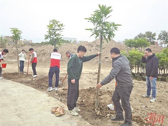青年代表們同植“僑青林”。 潮州日?qǐng)?bào)全媒體記者 蔡婧怡 攝
