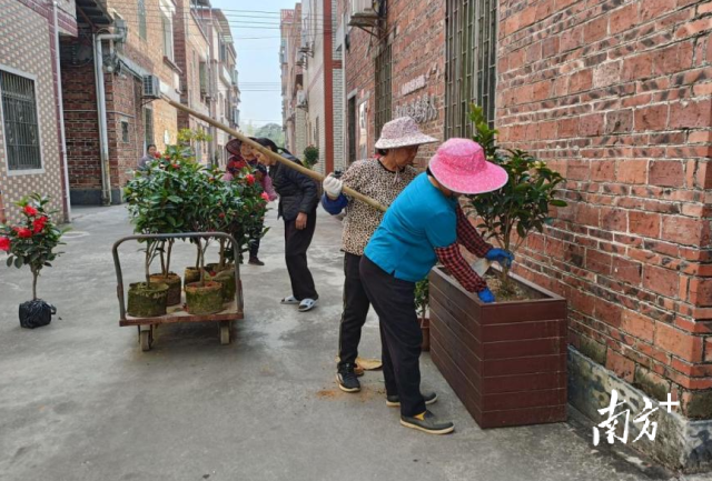 村民積極參與種植苗木獲取積分,。黃玉熹 攝