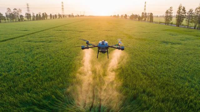  近年来，广东加快培育农业新质生产力，推进乡村全面振兴。