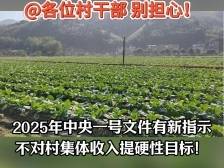 中央一号文件明确：不对村集体收入提硬性目标