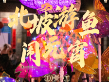 北坡游鱼闹元宵