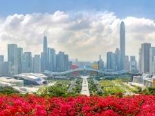 “十四五”收官之年，深圳财政何以行稳致远？丨2025八读预算①