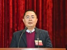 民革梅州市委会副主委叶洁：探索乡村运营路径 提升乡村发展水平|梅州两会