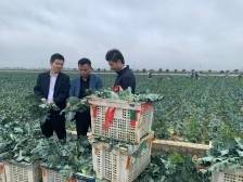 做强乡村主体，防范规模性返贫致贫丨2025一号文件系列评②